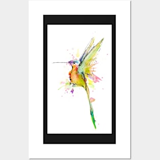 Ecuadorian Hummingbird Posters and Art